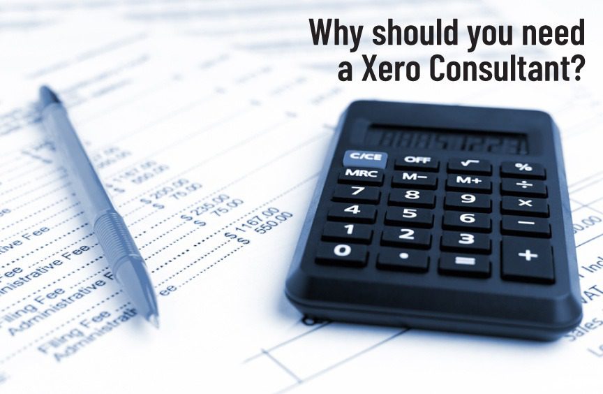 Why should you need a Xero Consultant