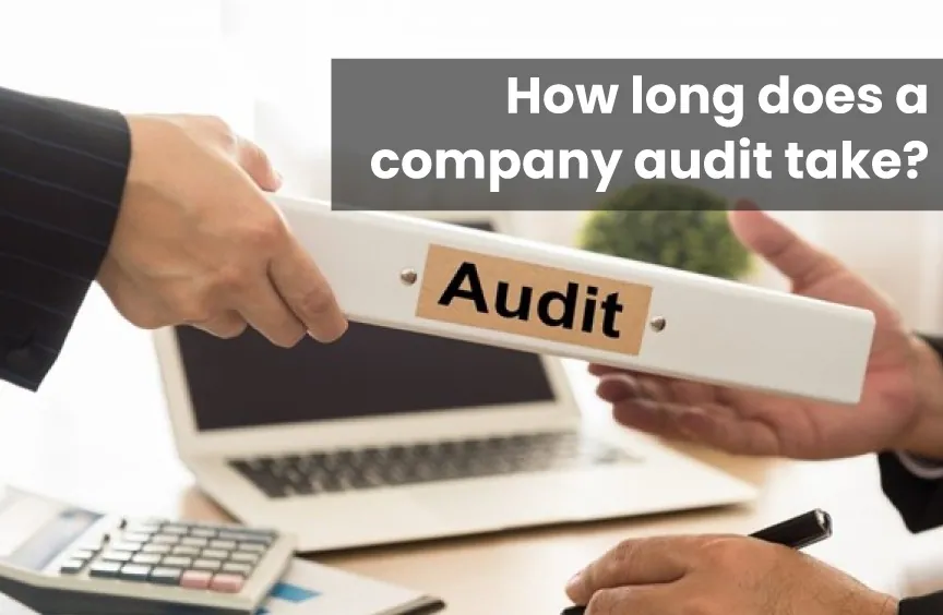 company audit