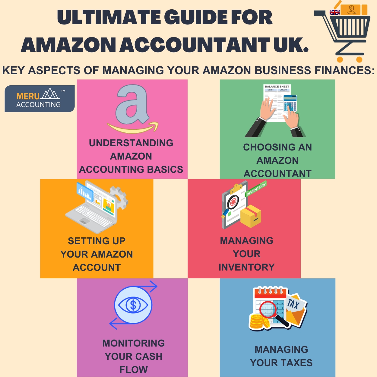 Pansy Ultimate guide for Amazon Accountant UK sr no.93 size 1250 by 1250 v1