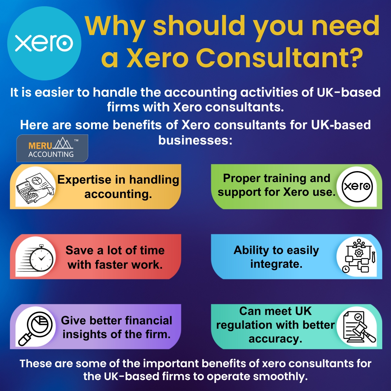 Pansy Why should you need a Xero Consultant sr no.92 size 1250 by 1250 v1